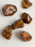 Jasper Nguni getrommeld