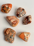 Light Jasper getrommeld