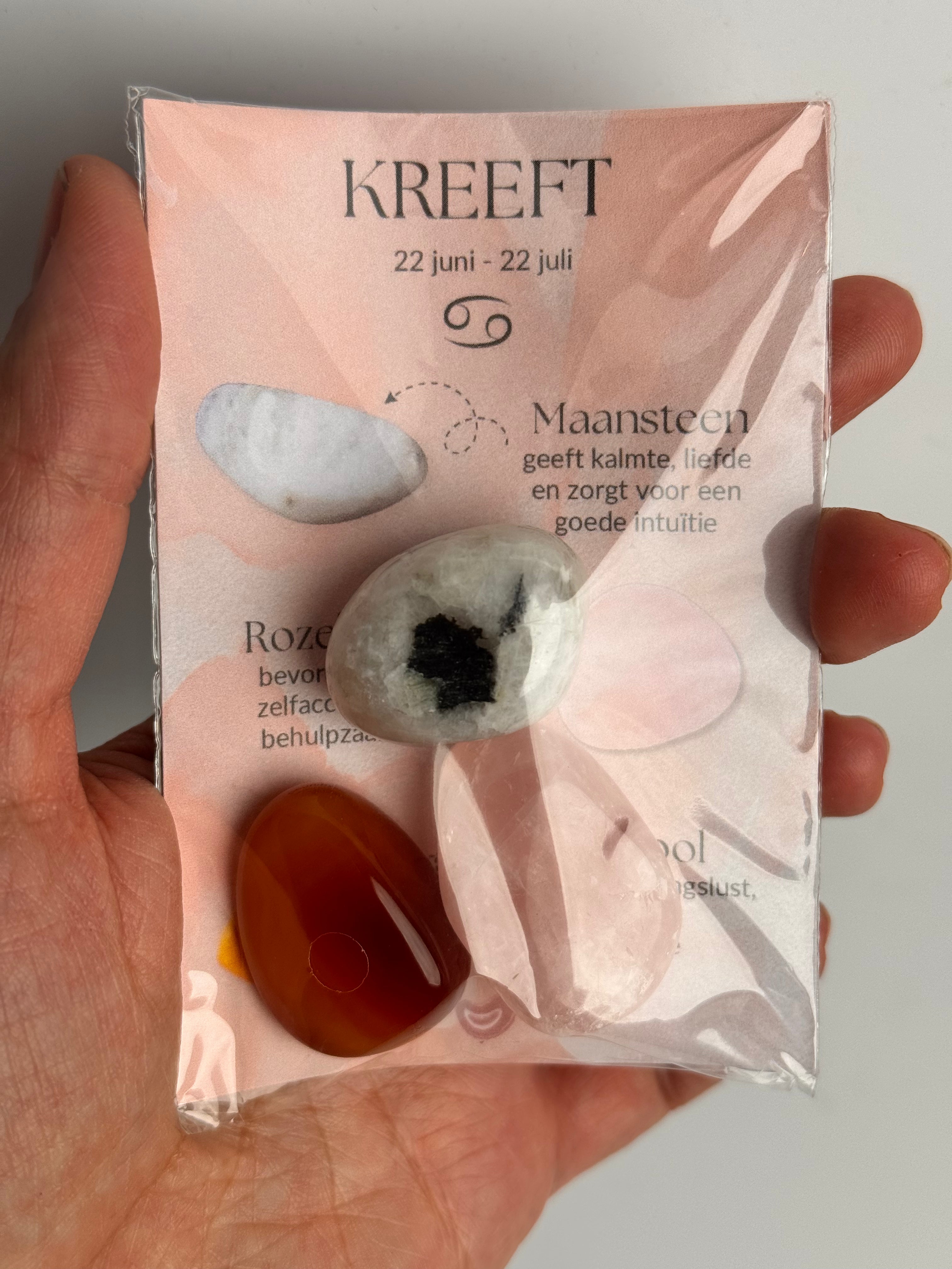 Setje edelstenen Kreeft