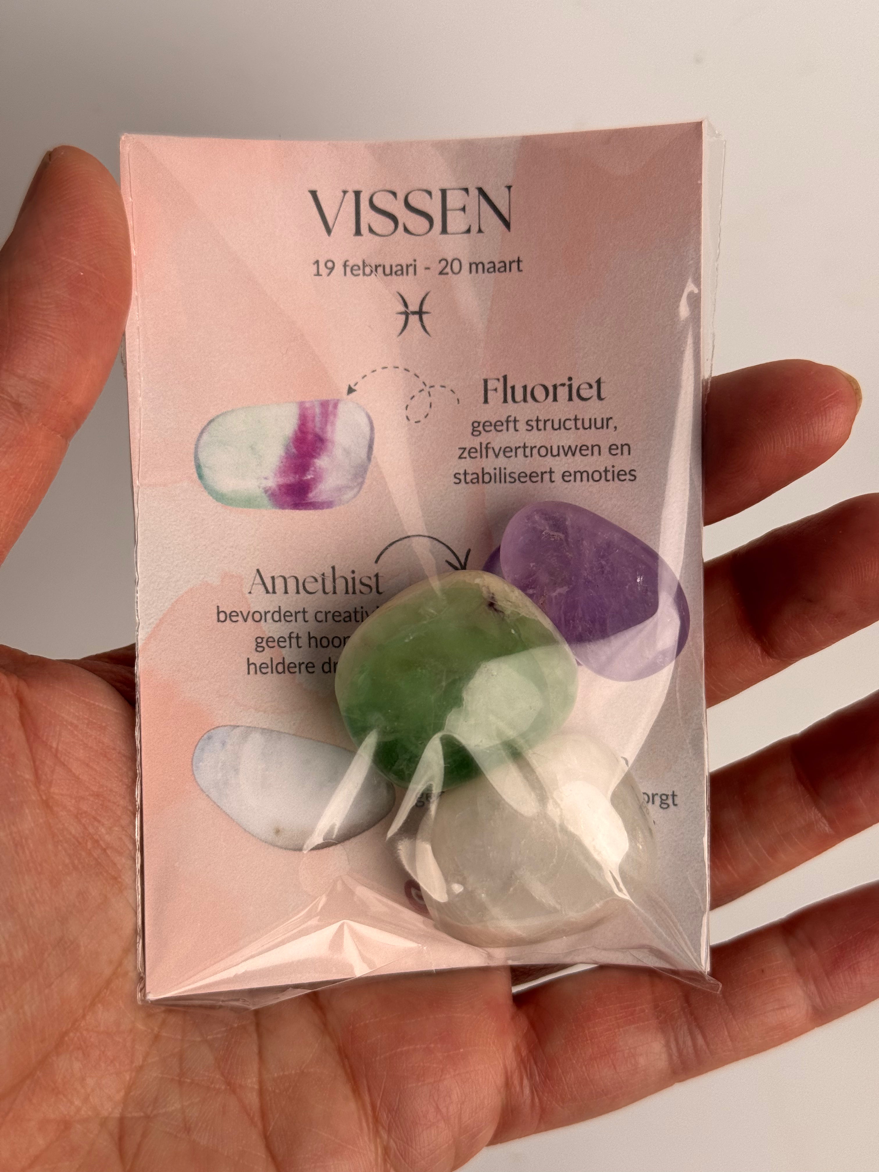 Setje edelstenen Vissen