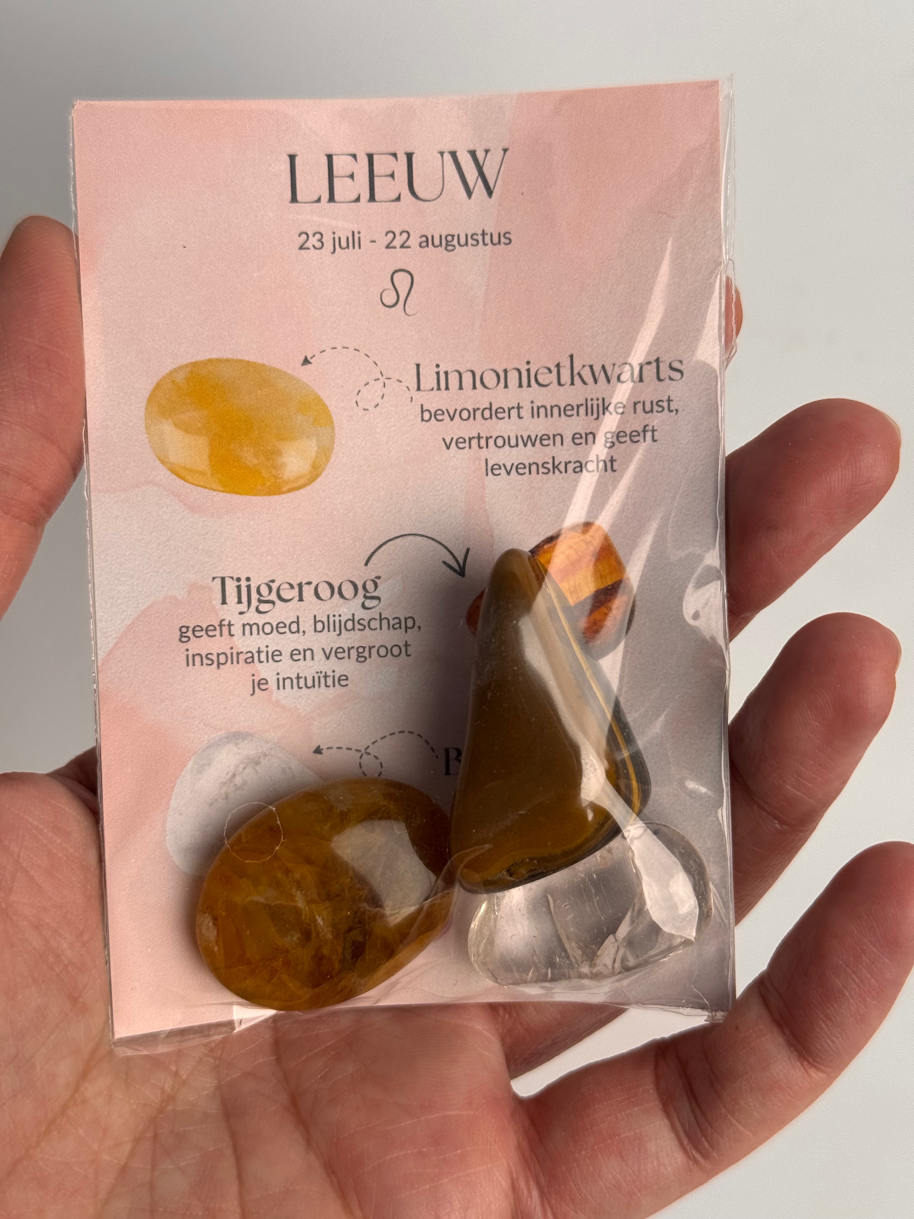 Setje edelstenen Leeuw